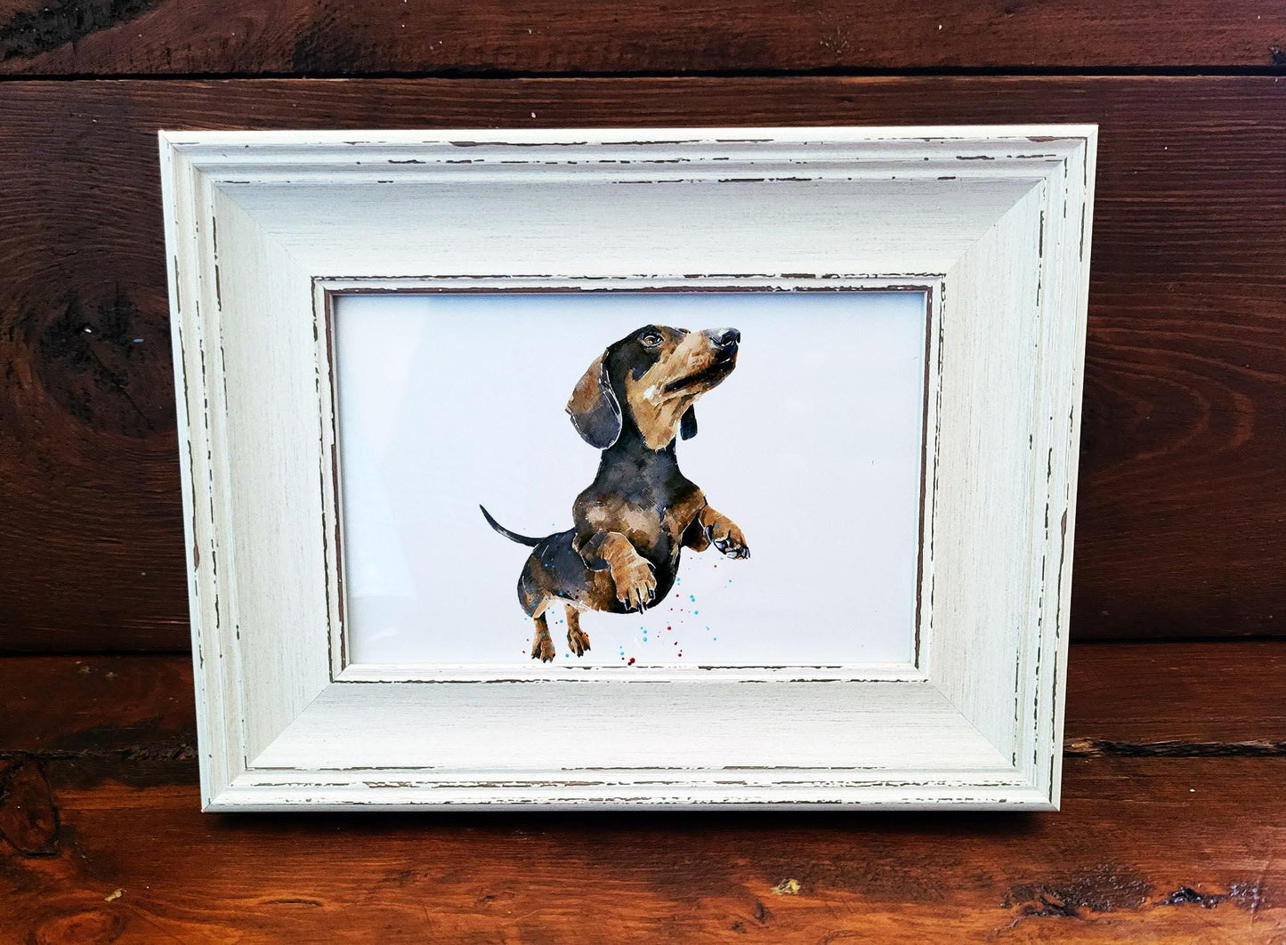 Dachshund Mini Art Print 17x12cm – Framed White Rustic Dog Portrait – Sausage Dog Gift, Scruffy Pup Art, Edswatercolours, Doxie Lover Gift