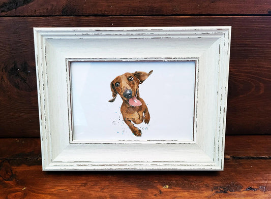 Dachshund Mini Art Print 17x12cm – Framed White Rustic Dog Portrait – Sausage Dog Gift, Scruffy Pup Art, Edswatercolours, Doxie Lover Gift