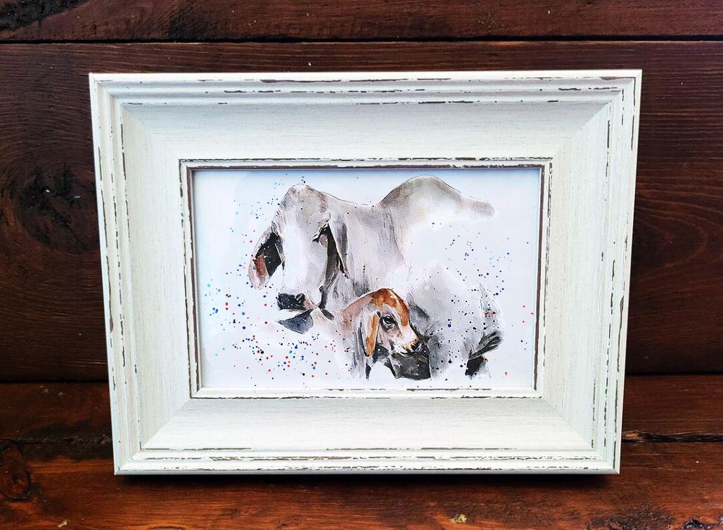 Brahman Cattle Mini Art Print 17x12cm – Framed White Rustic Frame – Majestic, Muscular, Sacred