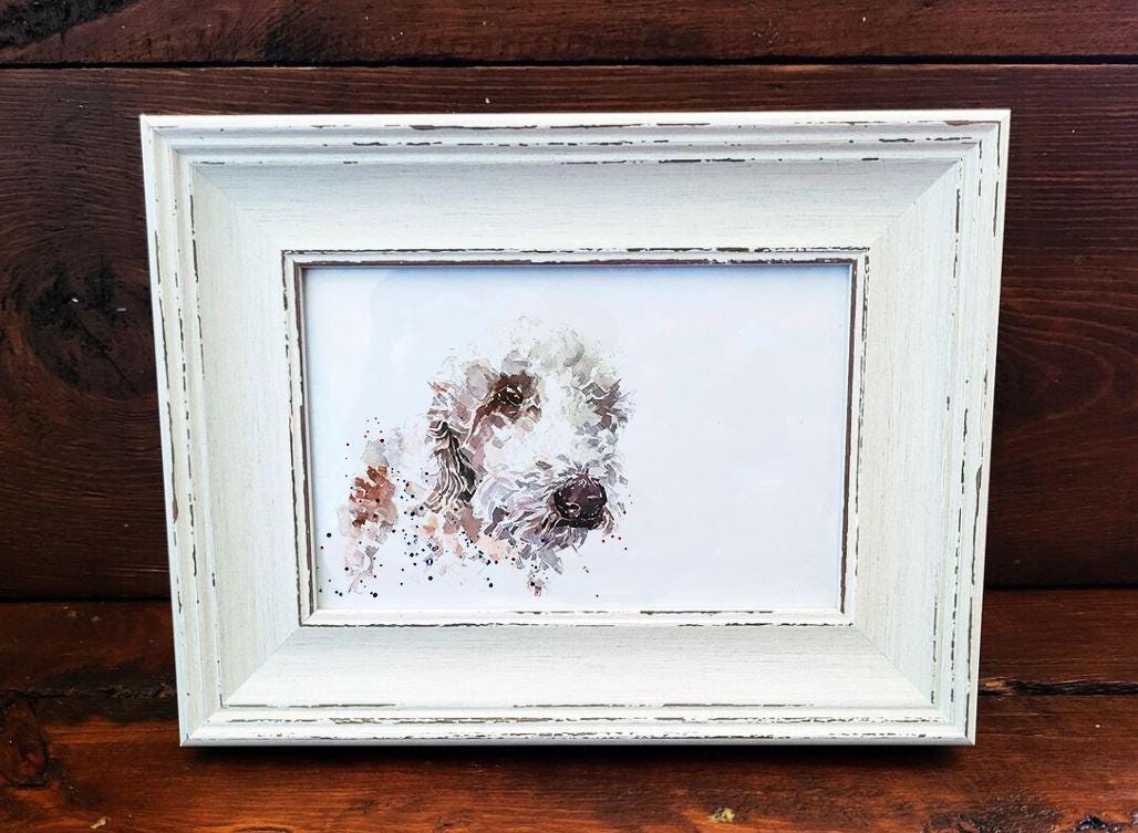 Bedlington Terrier Mini Art Print 17x12cm – Framed White Rustic Frame – Elegant, Spirited, Unmistakable