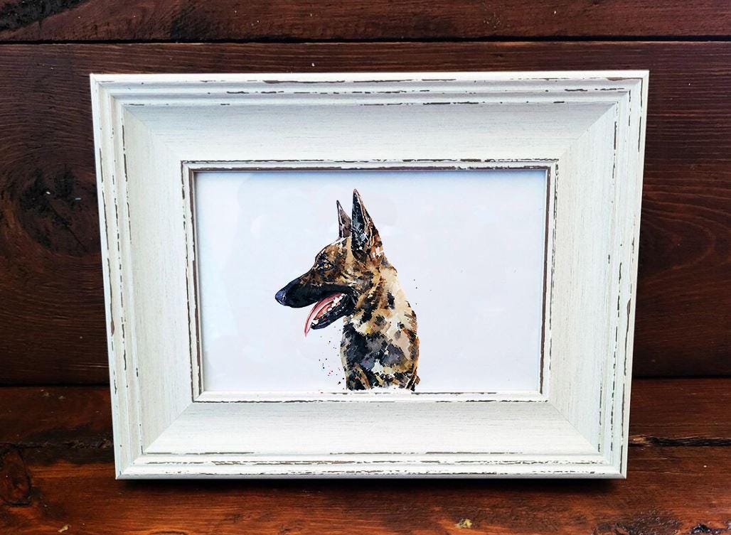 Belgian Malinois Mini Art Print 17x12cm – Framed White Rustic Frame – Loyal, Brave, Intelligent