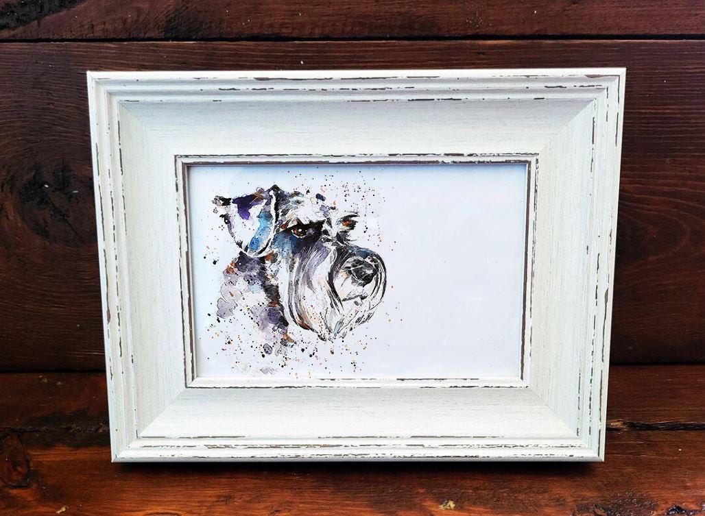 Schnauzer Mini Art Print 17x12cm – Framed White Rustic Frame – Proud, Perky, Perfectly Bearded
