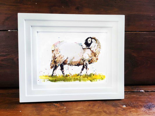 Sheep Watercolour Mini Original Art  17x12cm – Framed White Rustic Frame.calm and wooly