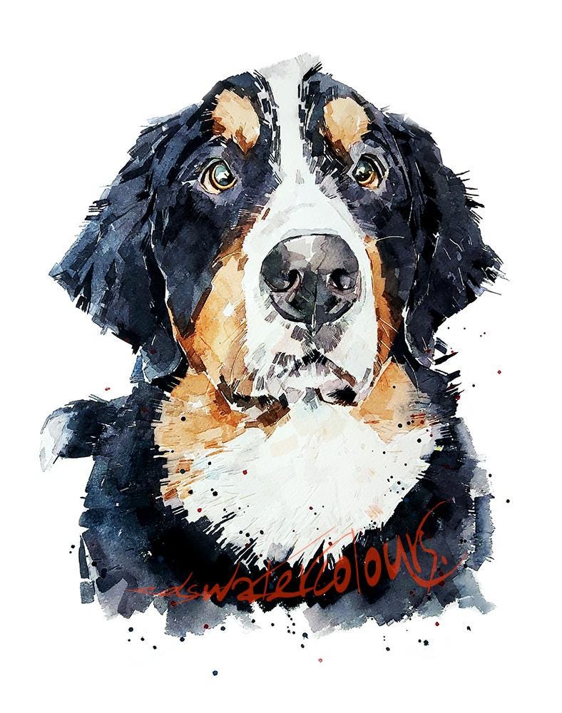Bernese Mountain Dog Greeting Card | Dog Lover Gift | Edswatercolours