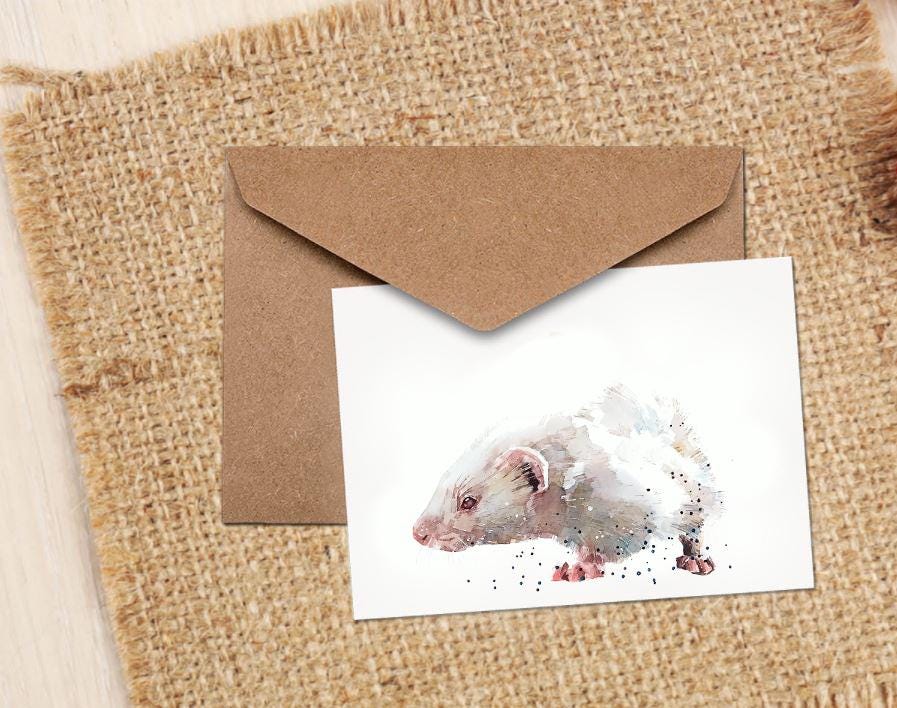 Albino Ferret Greeting Card | Wildlife Gift | Edswatercolours