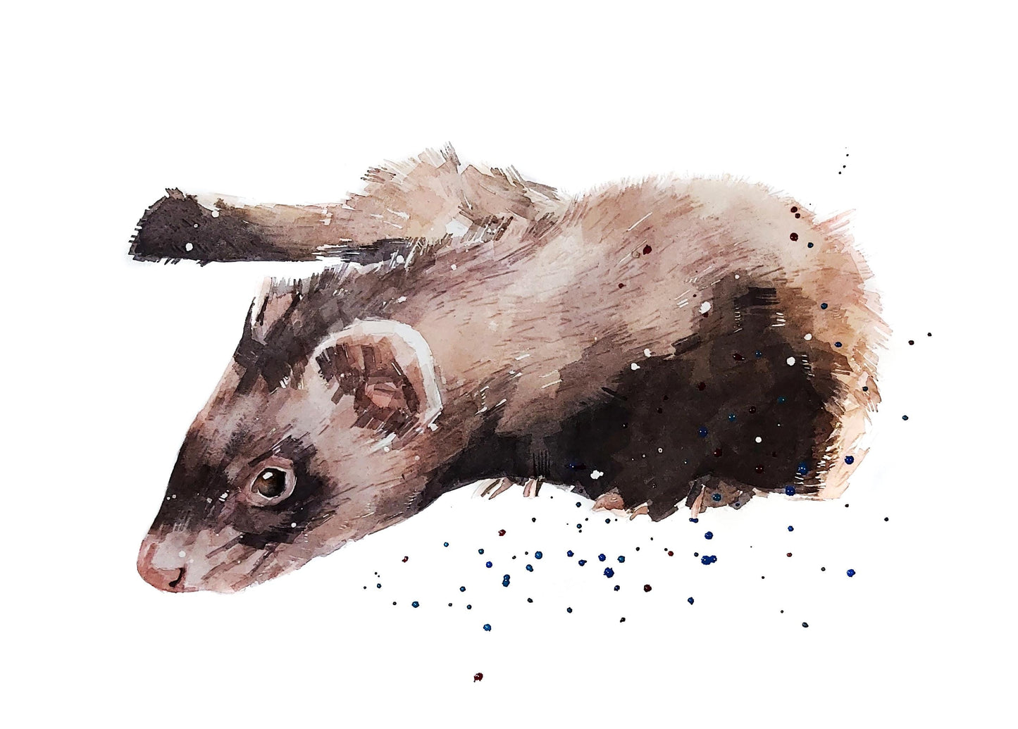 Ferret Greeting Card | Wildlife Gift | Edswatercolours