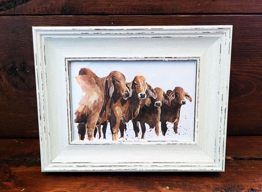 Brahman Cattle Mini Art Print 17x12cm – Framed White Rustic Frame – Majestic, Muscular, Sacred