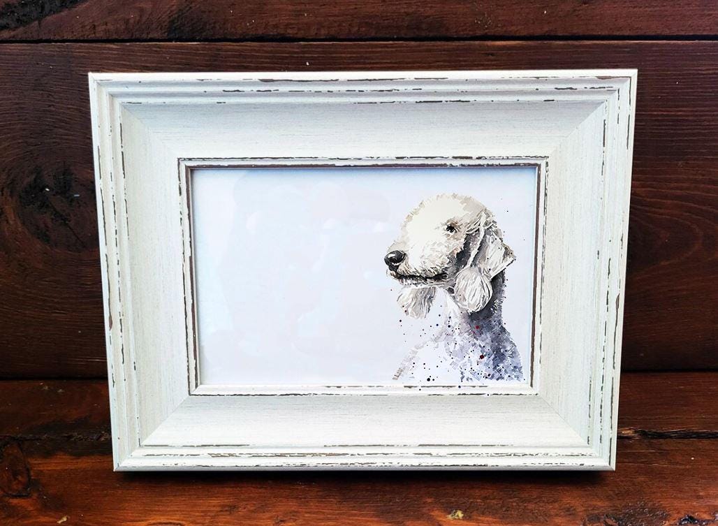 Bedlington Terrier Mini Art Print 17x12cm – Framed White Rustic Frame – Elegant, Spirited, Unmistakable