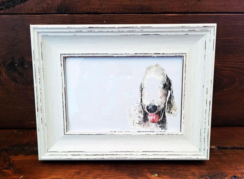 Bedlington Terrier Mini Art Print 17x12cm – Framed White Rustic Frame – Elegant, Spirited, Unmistakable