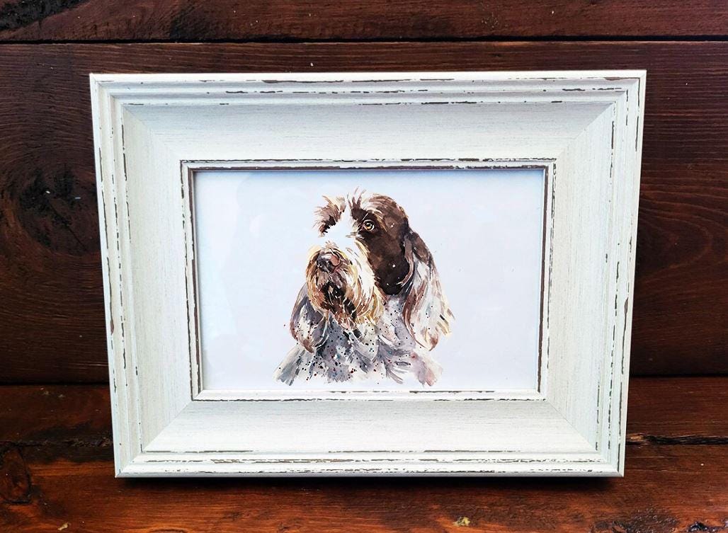 Spinone Italiano Mini Art Print 17x12cm – Framed White Rustic Frame – Gentle, Stoic, Irresistibly Scruffy