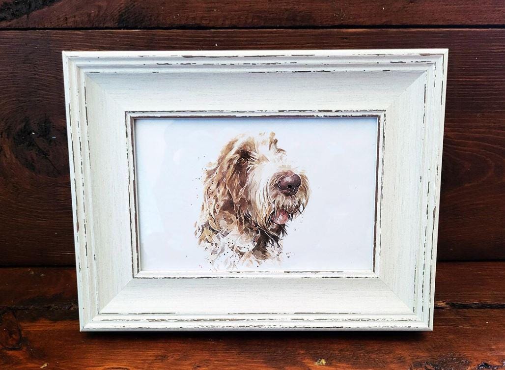 Spinone Italiano Mini Art Print 17x12cm – Framed White Rustic Frame – Gentle, Stoic, Irresistibly Scruffy