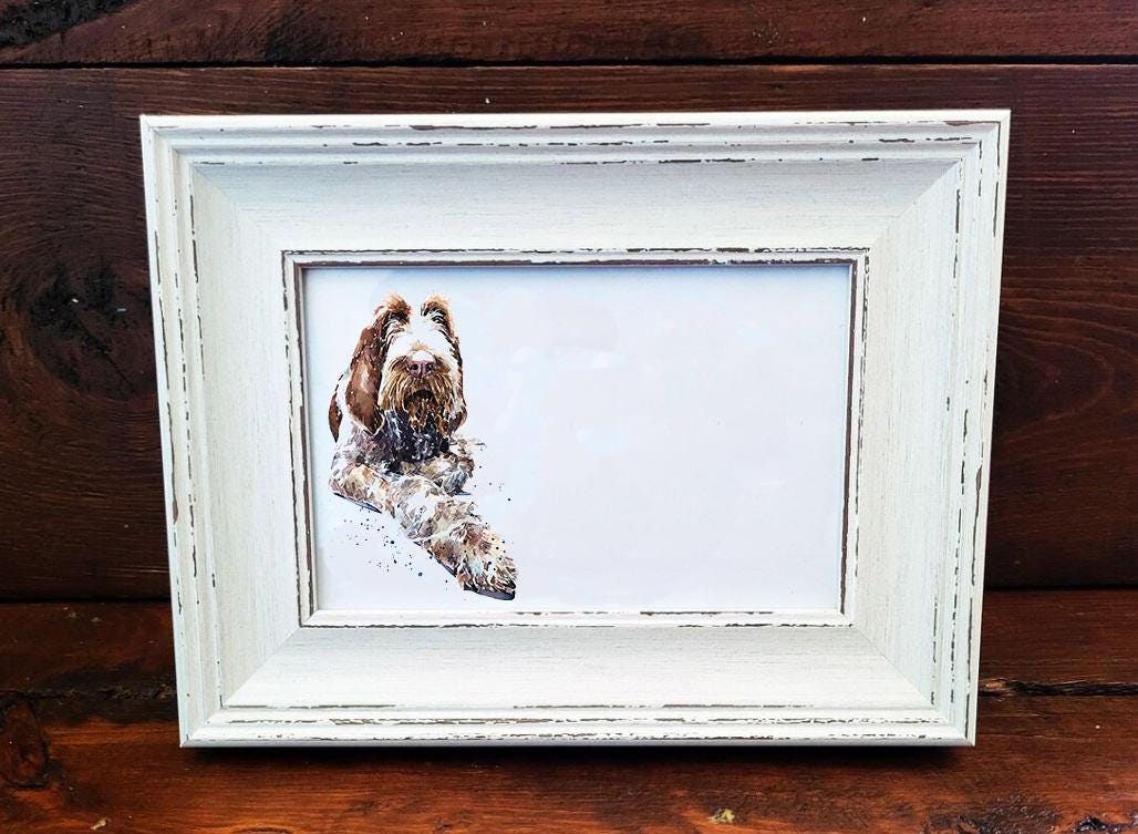Spinone Italiano Mini Art Print 17x12cm – Framed White Rustic Frame – Gentle, Stoic, Irresistibly Scruffy
