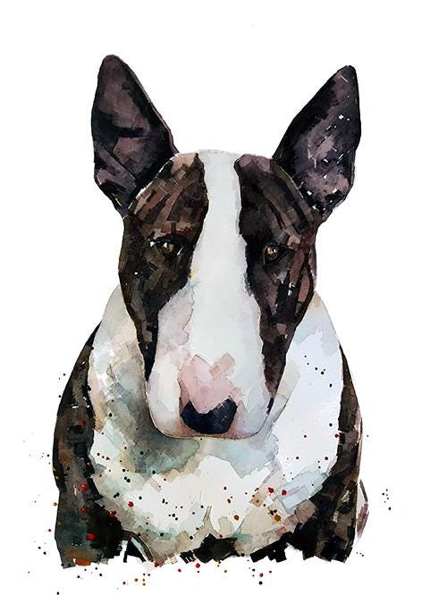 Bull Terrier II Greeting Card | Dog Lover Gift | Edswatercolours