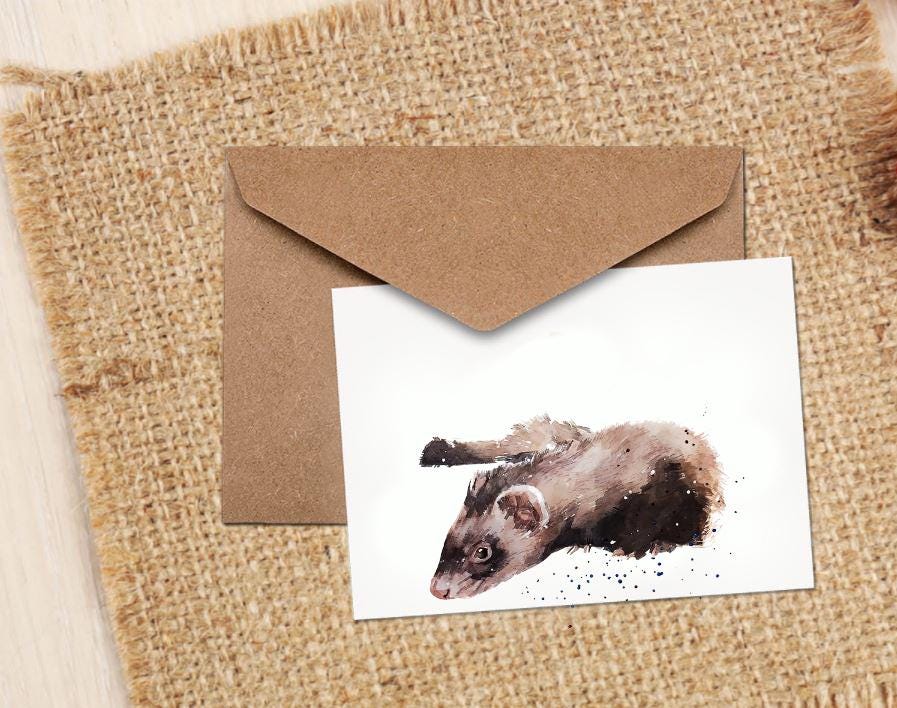 Ferret Greeting Card | Wildlife Gift | Edswatercolours