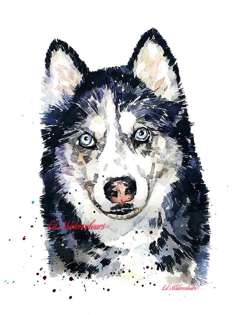 Husky Greeting Card | Dog Lover Gift | Edswatercolours