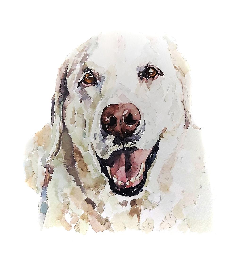 Yellow Labrador Greeting Card | Dog Lover Gift | Edswatercolours