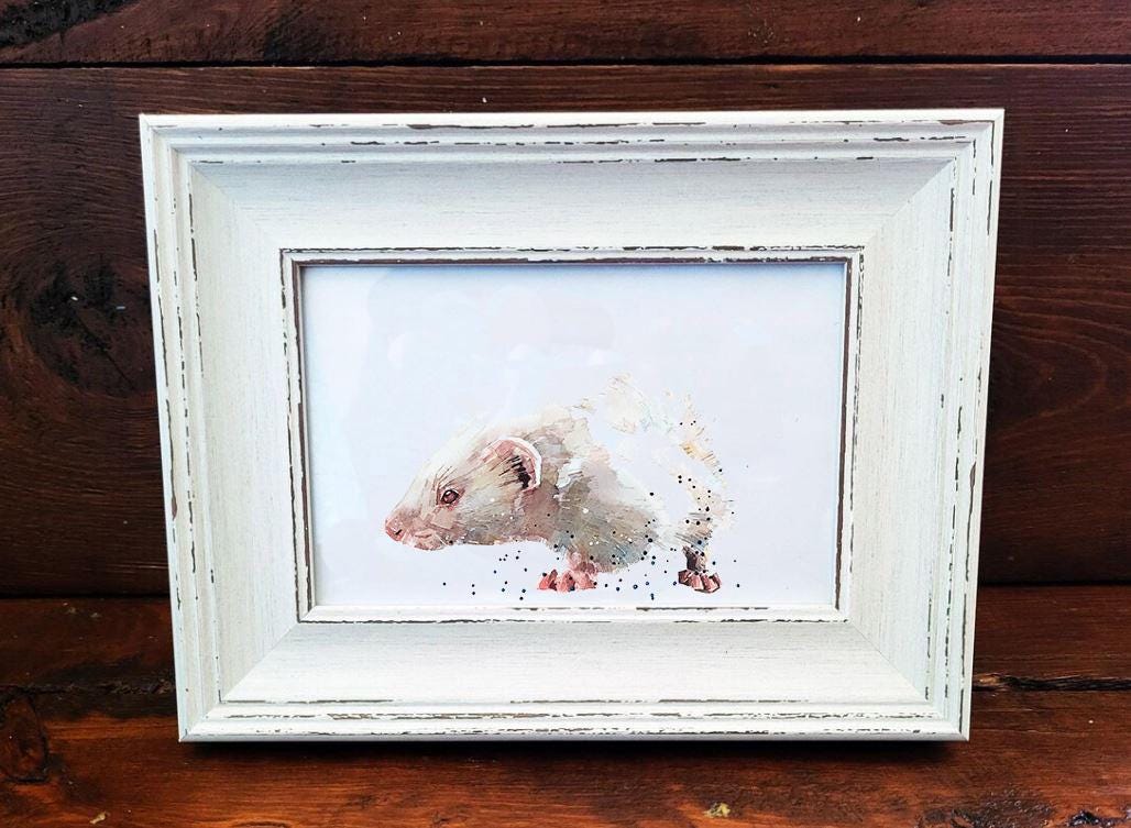 Ferret Mini Art Print 17×12cm – Framed Rustic White Frame – Curious, Attitude,mischief