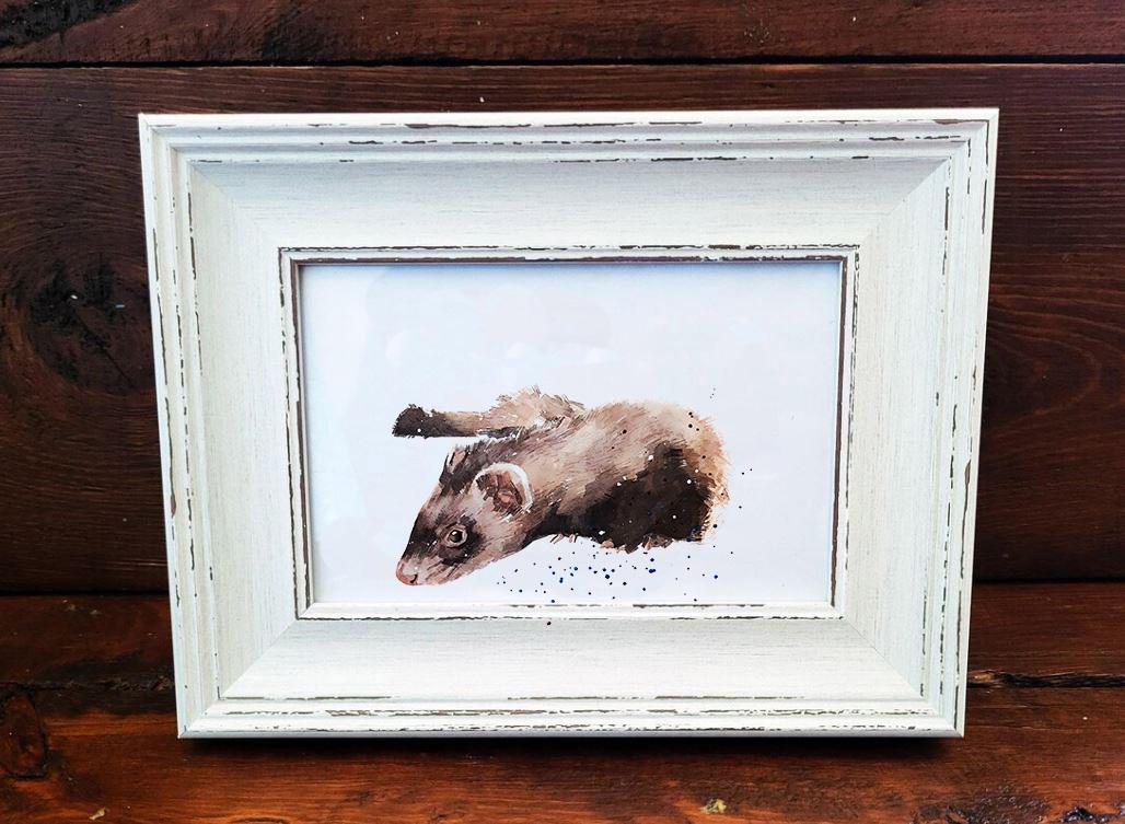 Ferret Mini Art Print 17×12cm – Framed Rustic White Frame – Curious, Attitude,mischief