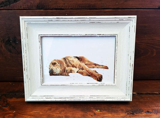 Bloodhound Mini Art Print 17×12cm – Framed Rustic White Frame – Droopy Face, Elite Nose, Zero Personal Boundaries