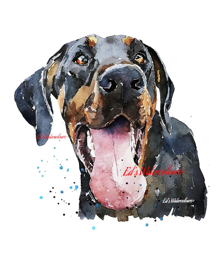Doberman Dog Art Print – Framed Mini Watercolour 17×12cm | Elegant Doberman Wall Art Gift