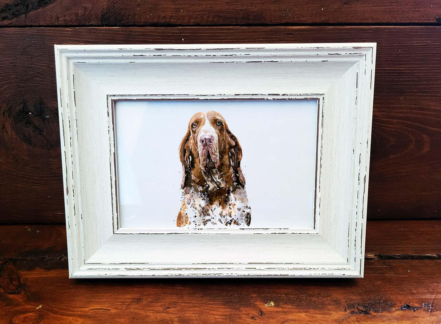 Bracco Italiano Mini Art Print 17×12cm – Framed Rustic White Frame – Elegant Nose, Dramatic Ears, Italian Charm