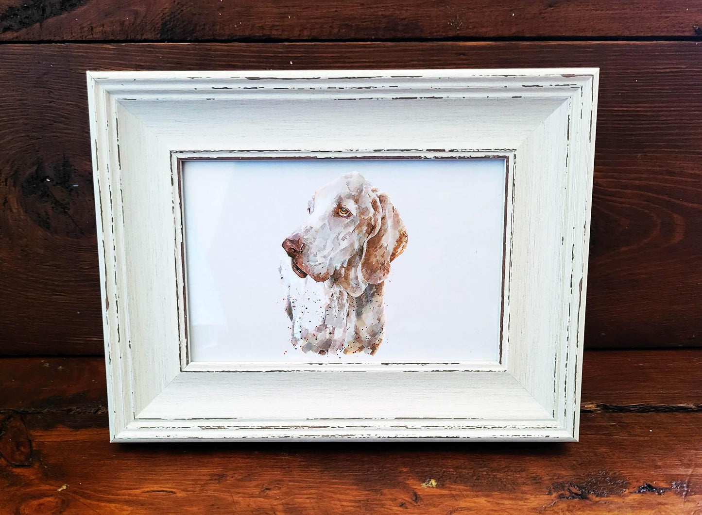 Bracco Italiano Mini Art Print 17×12cm – Framed Rustic White Frame – Elegant Nose, Dramatic Ears, Italian Charm