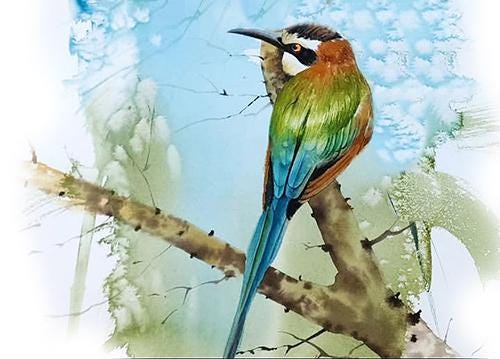 Bee-Eater Mini Art Print 17x12cm – Framed White Rustic Frame – Tiny Feathered Showoff