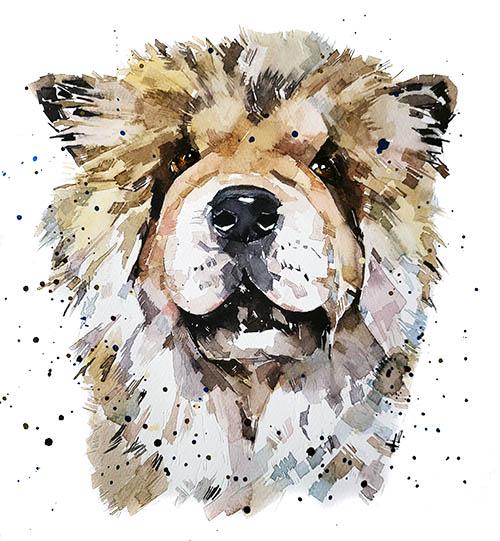 Chow Chow Mini Art Print 17x12cm – Framed White Rustic Frame – Regal Fluff with Attitude