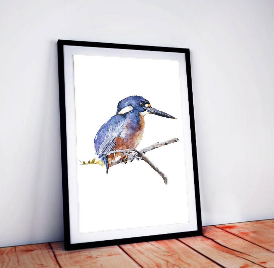 Kingfisher Watercolour Art Print | Bird Lover Gift | Edswatercolours