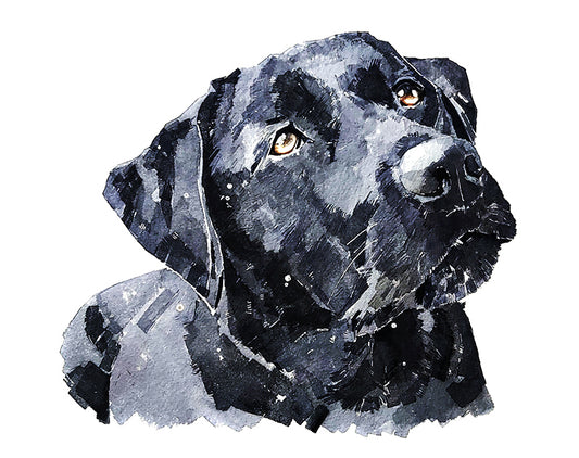 Black Labrador  | Dog Art Print | Edswatercolours