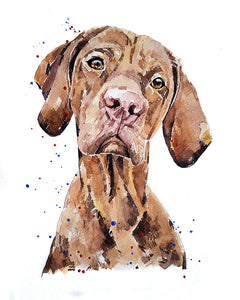 Pensive Vizsla" - Watercolour Original 12*16 inches