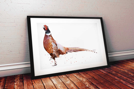 Ring Neck Pheasant Watercolour Art Print | Bird Lover Gift | Edswatercolours