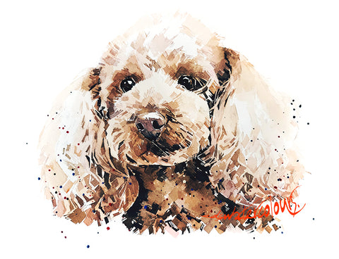 Poodle Apricot " - Watercolour Original 24*16 Inches