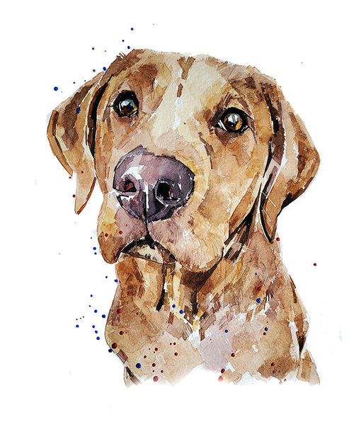 Red Labrador Print Watercolour. Labrador watercolor, Labrador art print, Labrador wall art, Labrador home decor