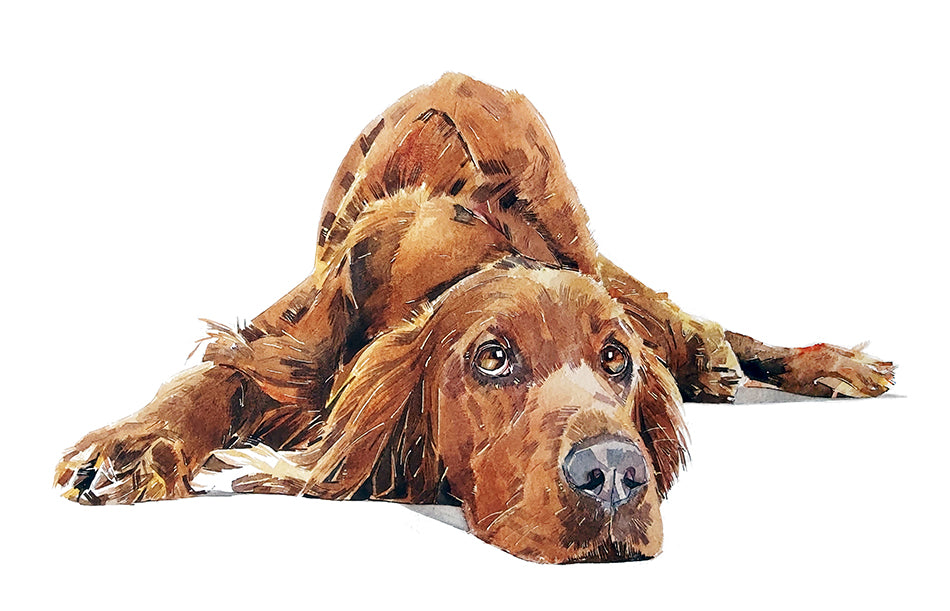 Red Setter | Original Watercolour | Dog Lover Gift | Edswatercolours