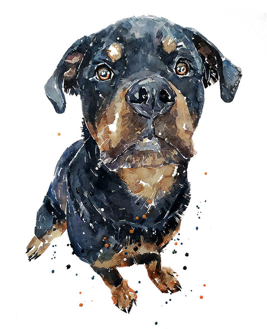 Rottweiler Impatiently Waiting | Dog Art Print | Edswatercolours
