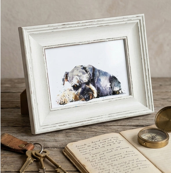 Schnauzer Mini Art Print 17x12cm – Framed White Rustic Frame – Proud, Perky, Perfectly Bearded