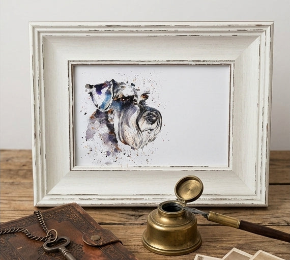 Schnauzer Mini Art Print 17x12cm – Framed White Rustic Frame – Proud, Perky, Perfectly Bearded