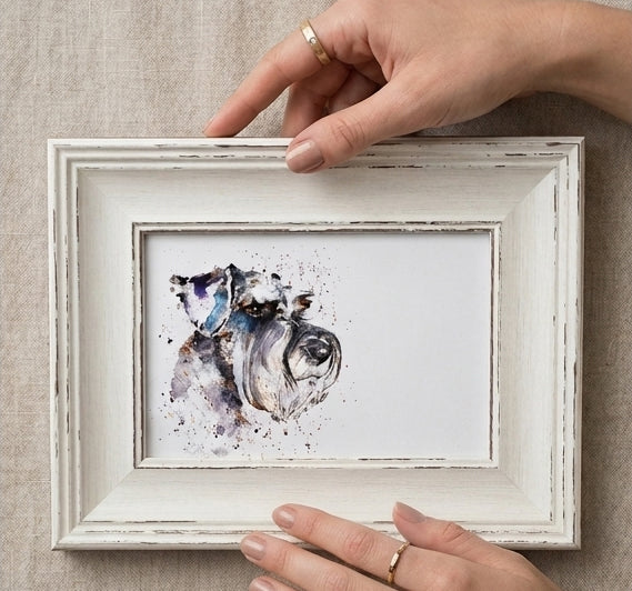 Schnauzer Mini Art Print 17x12cm – Framed White Rustic Frame – Proud, Perky, Perfectly Bearded