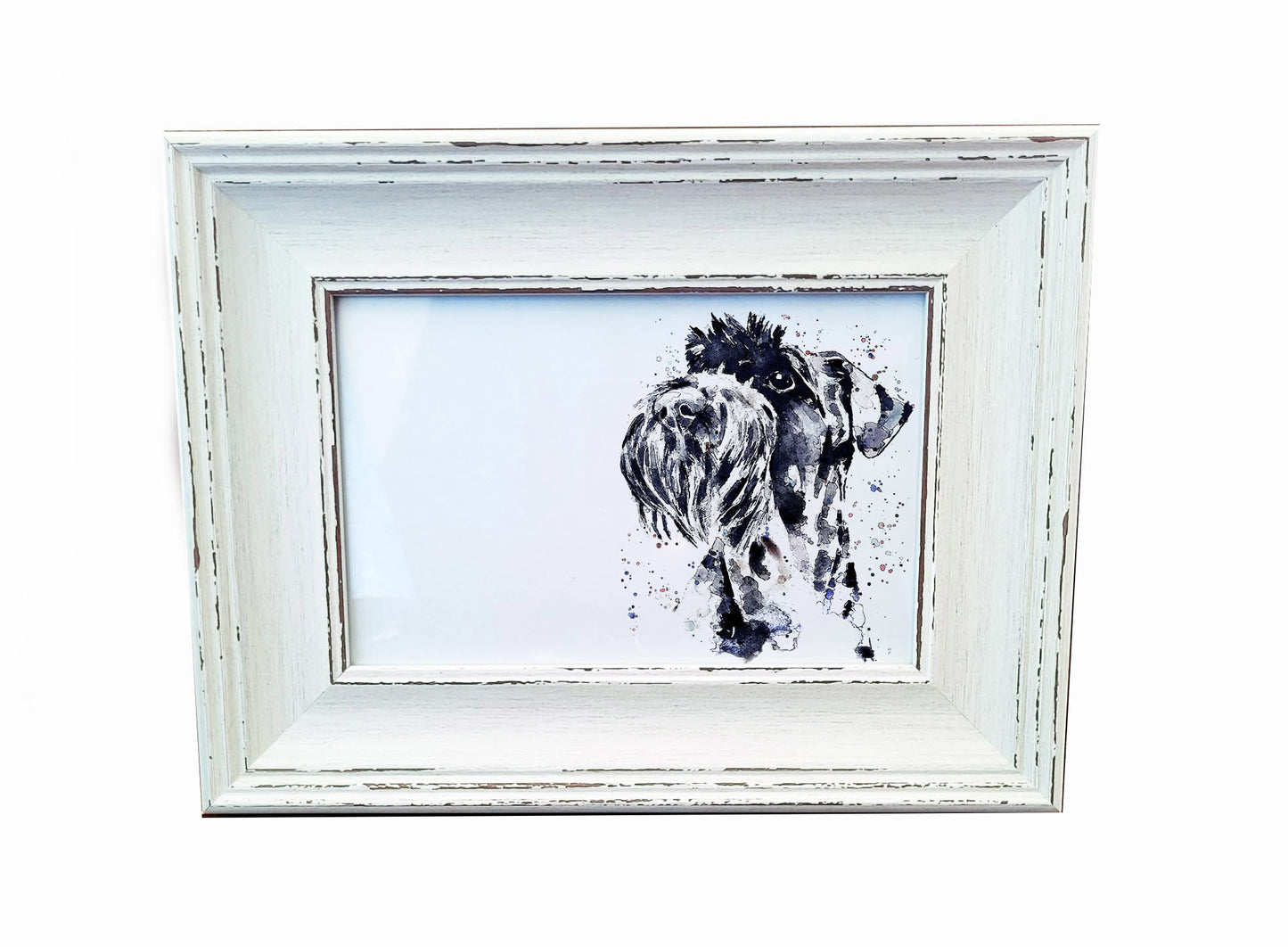 Schnauzer Mini Art Print 17x12cm – Framed White Rustic Frame – Proud, Perky, Perfectly Bearded