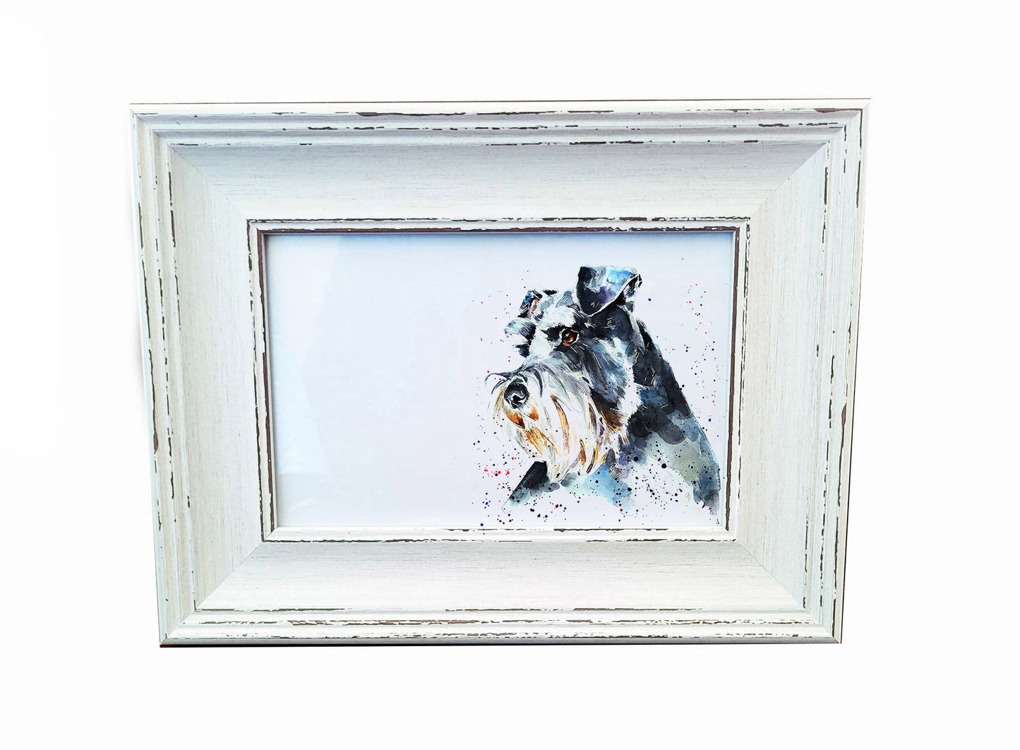 Schnauzer Mini Art Print 17x12cm – Framed White Rustic Frame – Proud, Perky, Perfectly Bearded