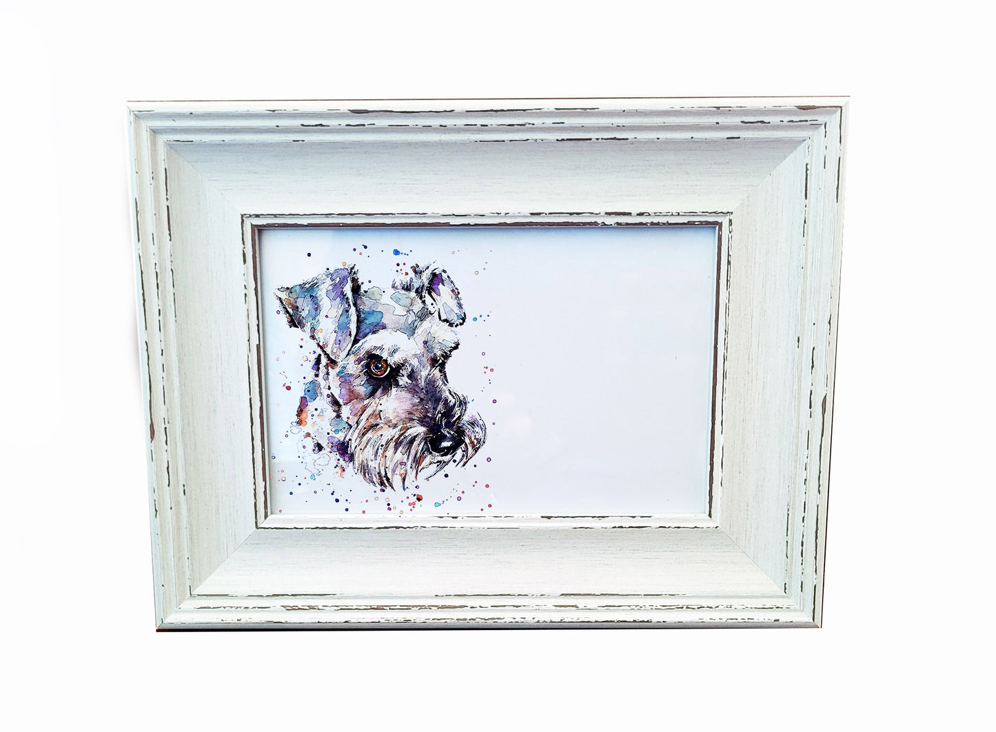 Schnauzer Mini Art Print 17x12cm – Framed White Rustic Frame – Proud, Perky, Perfectly Bearded
