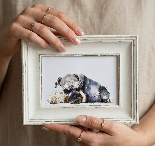 Schnauzer Mini Art Print 17x12cm – Framed White Rustic Frame – Proud, Perky, Perfectly Bearded