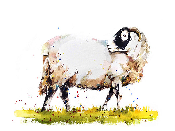 Original Mini “Sheep” Watercolour – 10*12 inches Framed Sheep Watercolour