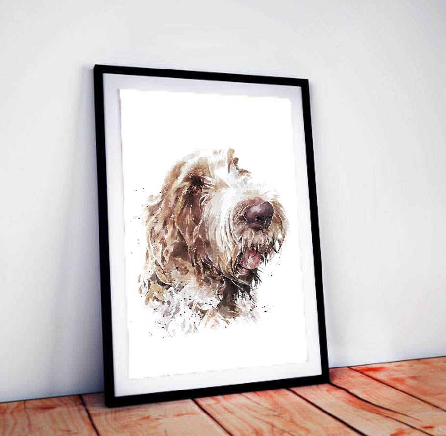 Spinone Italiano II | Dog Art Print | Edswatercolours