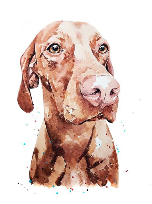 Vizsla A Penny for Your Thoughts | Dog Art Print | Edswatercolours