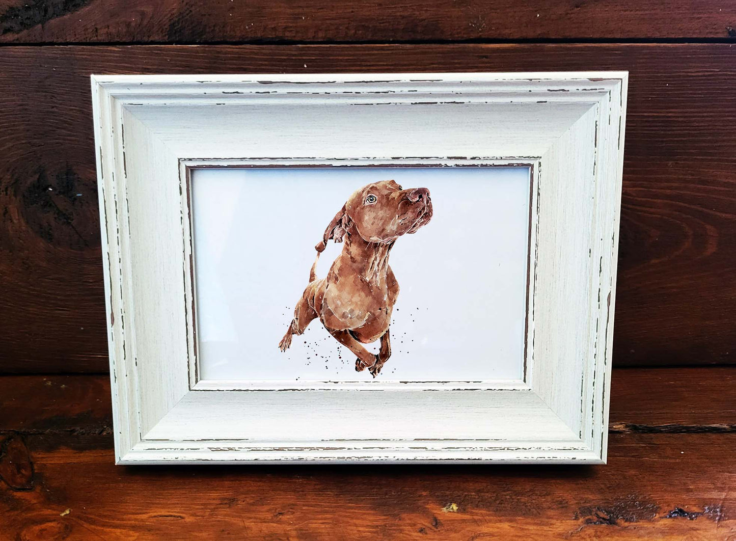 Vizsla Mini Art Print 17x12cm – Framed White Rustic Frame (Assorted) Vizsla art print framed vizsla art,vizsla dog decor,dog lover gift