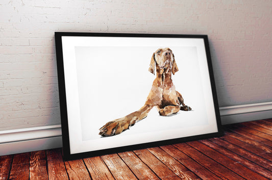 Vizsla | Original Watercolour | Dog Lover Gift | Edswatercolours
