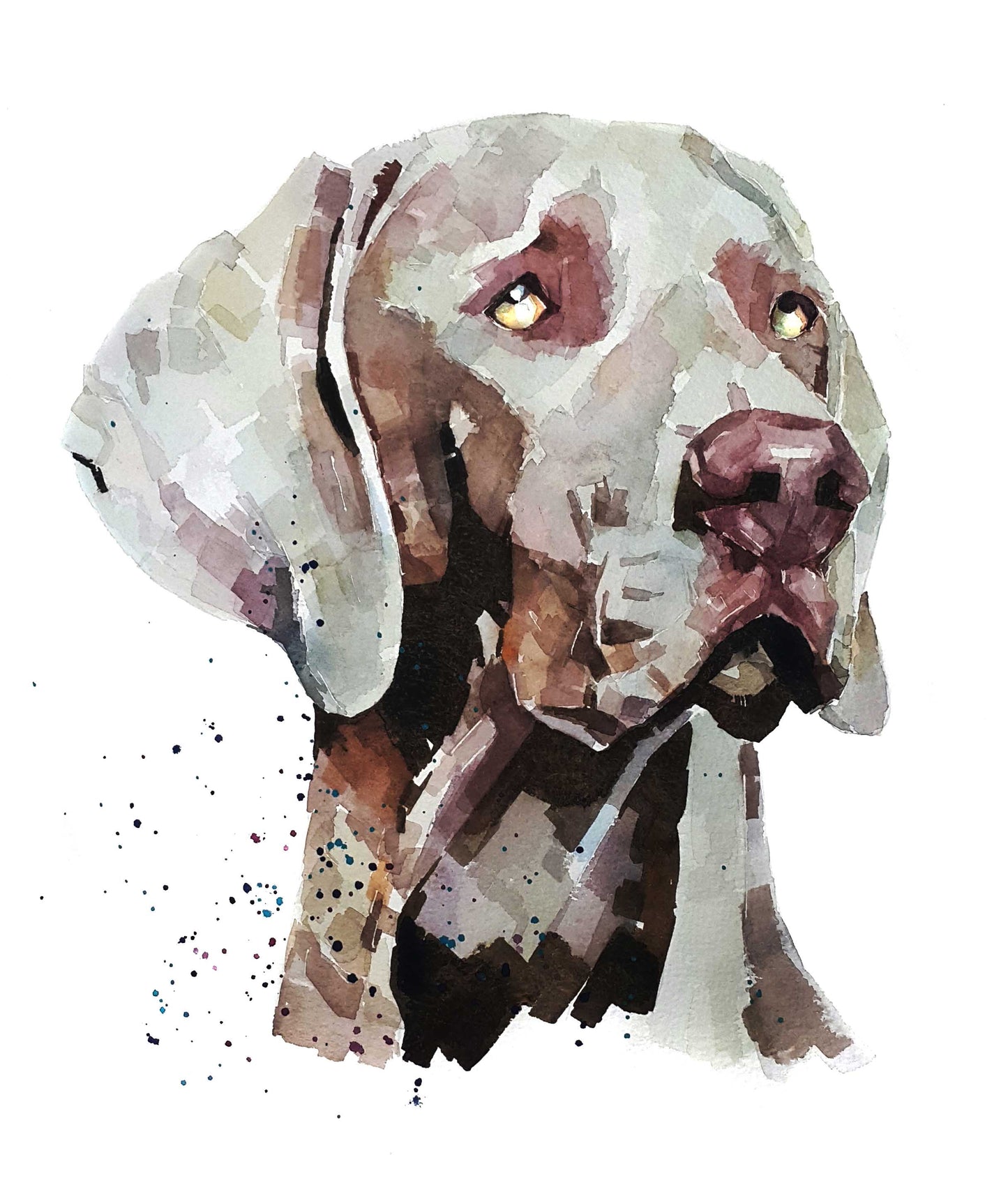Weimaraner The Boss | Dog Art Print | Edswatercolours
