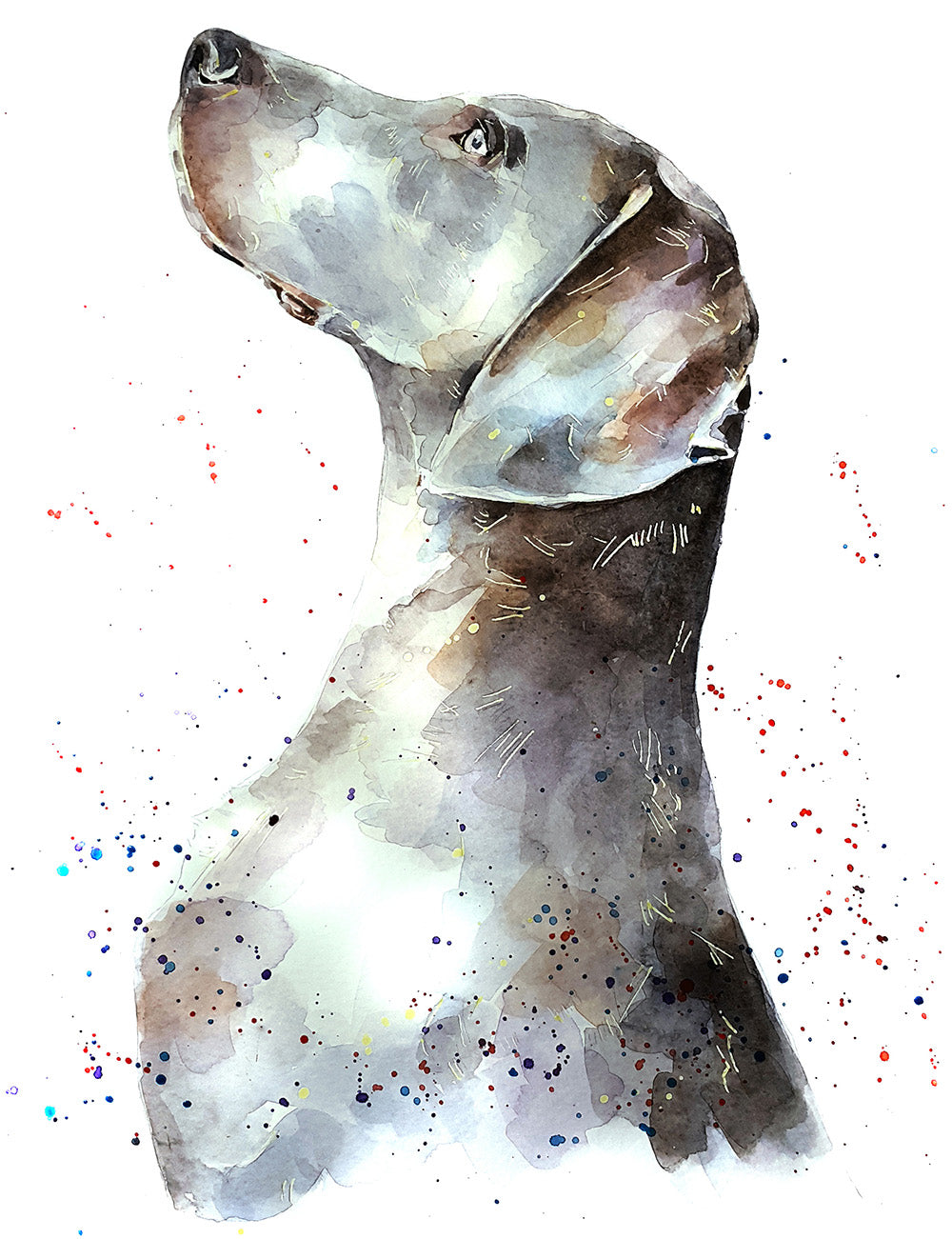 Weimaraner | Original Watercolour | Dog Lover Gift | Edswatercolours